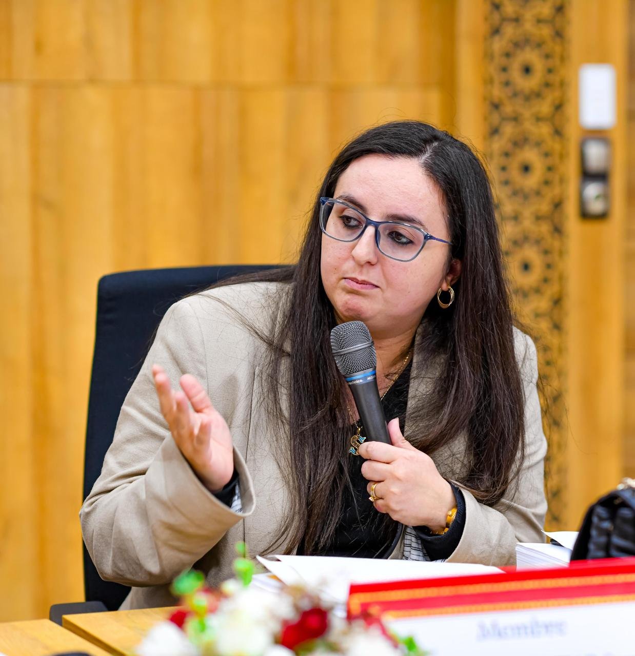 Sarra Mrani Zentar